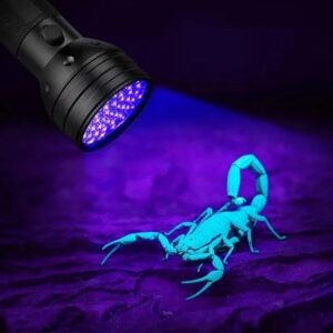 Wozinsky WLT-51L IP65 UV Flashlight for Trace Detection - Black - Image 7