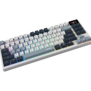 MSI FORGE GK600 TKL WIRELESS SKY klaviatūra Žaidimams USB + Bluetooth QWERTY Anglų (JK) Mėlyna, Balta - Image 2