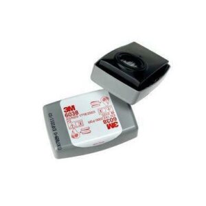 3M FILTRAS NUO DULKIŲ P3 6038 /2vnt. OZON