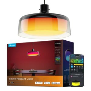 Govee Pendant Light Išmanusis prie lubų tvirtinamas šviestuvas Wi-Fi/Bluetooth