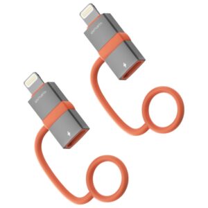 Adapter 4smarts USB-C to Lightning PD 27W gray 2vnt