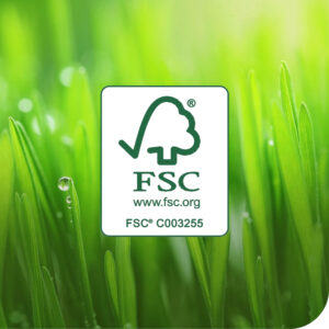 Servetėlės drėgnosios kibirėlyje Tork Premium W14 (190594), 1 sluoksnis, baltos spalvos, 58 lapelių - Image 7