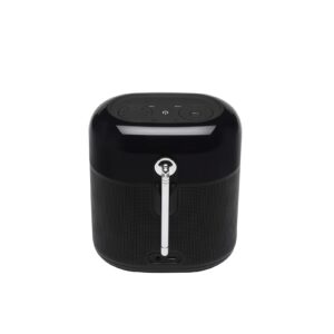Belaidė kolonėlė/ radija JBL Tuner XL, Black - Image 2