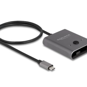 DeLOCK 11500 sąsajos šakotuvas USB 3.2 Gen 2 (3.1 Gen 2) Type-C 10000 Mbit/ai Pilka - Image 1
