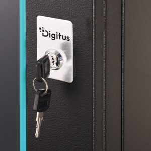 Digitus DN-37115 lentyna 16U Sieninis stovas Juoda - Image 2