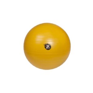 Reabilitacinis kamuolys ABS PILO-1045 REHAFUND