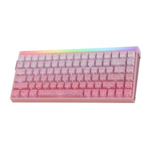 „Gasket“ klaviatūra HERO84 HE PINK+Gradient+Contour Dragon King switch RGB AULA