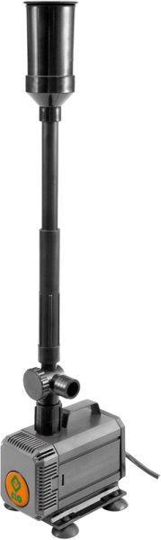 T79931