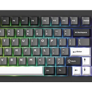 KEYBOARD WRL GEM 02 VIA/BLACK/SIL. 6978414650828 AKKO