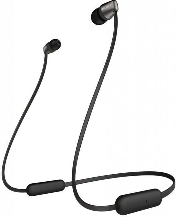 sony-wi-c310-1