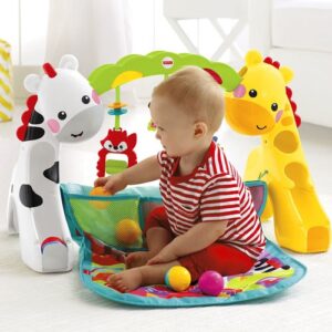 Fisher-Price Everything Baby Newborn-to-Toddler Play Gym Multi spalvos - Image 1