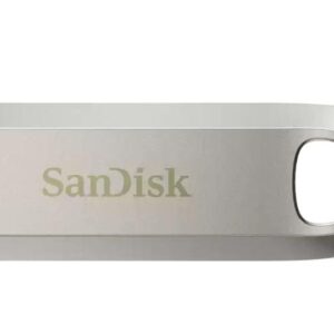 MEMORY DRIVE FLASH USB-C 256GB/SDCZ75-256G-G46 SANDISK