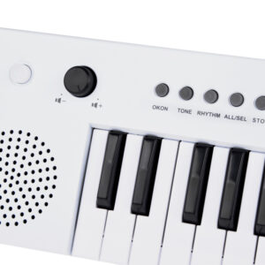 Elektroninis vargonų instrumentas su rankena, muzikinis žaislas vaikams IN0172 - Image 4