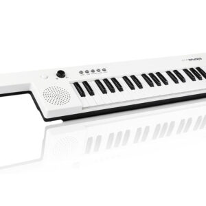 Elektroninis vargonų instrumentas su rankena, muzikinis žaislas vaikams IN0172 - Image 7