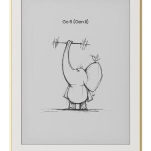 E-Reader|ONYX BOOX|Go 6 (Gen II)|OPC1584R
