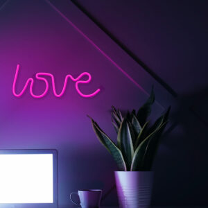 Neoninis LED šviestuvas LOVE rožinis šikšnosparnis + USB FLNE05 Forever Light - Image 7
