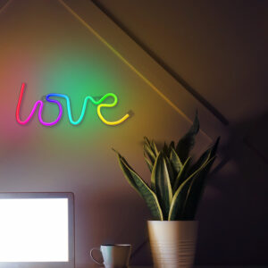 Neoninis LED RGB LOVE FLRN01 + RC Forever Light - Image 8