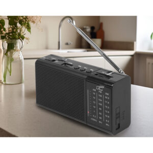 LTC nešiojamas radijo imtuvas REGA, USB, TF, AUX, mini LED žibintuvėlis, juodas - Image 4