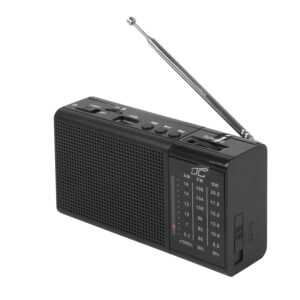 LTC nešiojamas radijo imtuvas REGA, USB, TF, AUX, mini LED žibintuvėlis, juodas