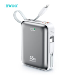 BWOO 20000mAh greitojo įkrovimo išorinė baterija PD45W su 2 laidais Type C ir Lightning P78 sidabrinė