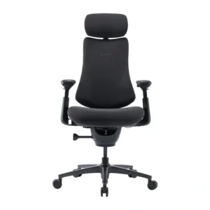 LiberNovo Omni Pro 45 cm Ergonomic Chair (Graphite) - Image 2