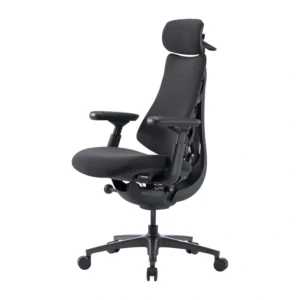 LiberNovo Omni Pro 45 cm Ergonomic Chair (Graphite) - Image 3