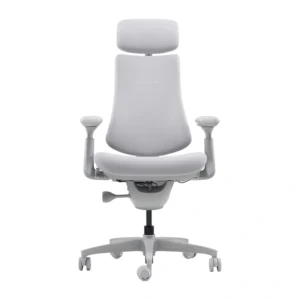 LiberNovo Omni 45 cm Ergonomic Chair (Gray)