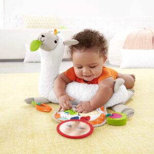 Fisher-Price GHJ03 lavinamasis žaislas - Image 3