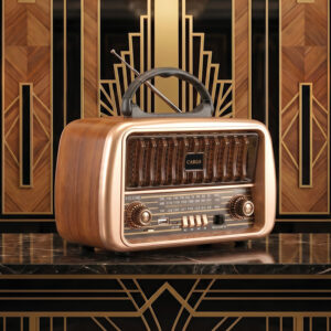 Forever Electro FM radijas CARLO JB-105 BT USB 1200mAh - Image 2