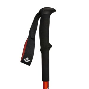Treko lazdos Black Diamond Trail Back burnt sienna - Image 3