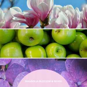 Lazdelių kvapų difuzoriaus papildymas 250 ml MAGNOLIA BLOSSOM & WOOD MILLEFIORI - Image 2