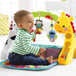 Fisher-Price Everything Baby Newborn-to-Toddler Play Gym Multi spalvos - Image 3