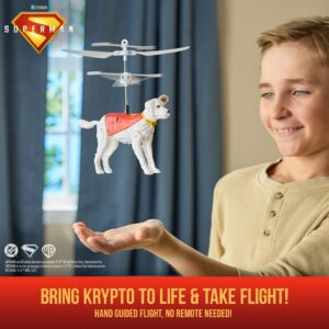 DC Comics SUP INA Handheld Flight GML - Image 2