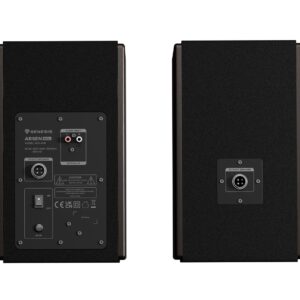 GENESIS ARSEN 502BT 2 krypčių Bronza Vielinis ir Bevielis 60 W - Image 2