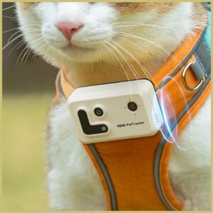 Tracker GPS ENABOT for dog or cat yellow - Image 7
