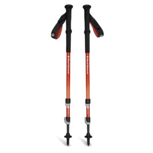 Treko lazdos Black Diamond Trail Back burnt sienna - Image 2