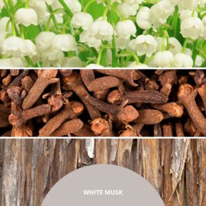 Kvapų difuzoriaus papildymas 500 ml WHITE MUSK MILLEFIORI - Image 3