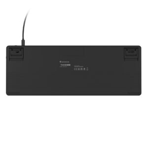 GENESIS Thor 430 TKL klaviatūra Žaidimams USB QWERTY Anglų (JAV) Juoda