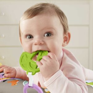 Fisher-Price GRR01 lavinamasis žaislas - Image 2