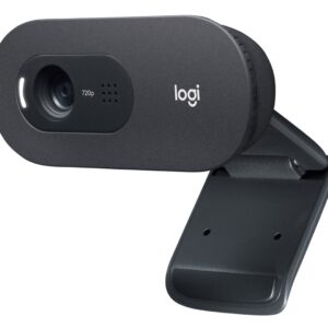 Logitech C505e internetinė kamera 1280 x 720 pikseliai USB Grafitas - Image 2
