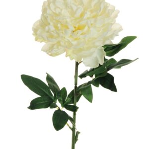 Dirbtinė gėlė, bijūnas, balta sp., 82 cm