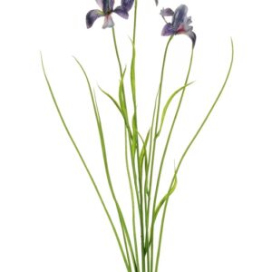 Dirbtinė gėlė Irisas, mėlyna sp., 72 cm