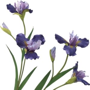 Dirbtinė gėlė Irisas, mėlyna sp., 72 cm - Image 2