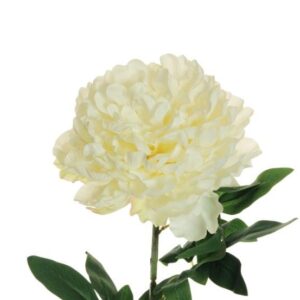 Dirbtinė gėlė, bijūnas, balta sp., 82 cm - Image 2