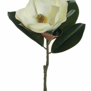 Dirbtinė gėlė, magnolija, balta sp., 71 cm