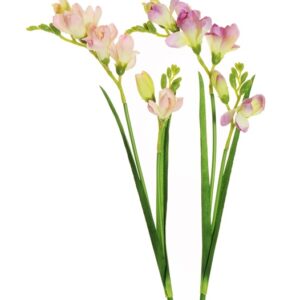 Dirbtinė gėlė, frezija, rausva sp./violetinė sp., 59 cm