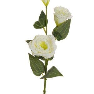 Dirbtinė gėlė, eustoma, balta sp., 71 cm