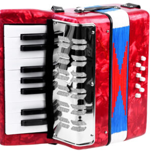 Vaikiškas didelis muzikinis akordeonas harmonika IN0148 - Image 2