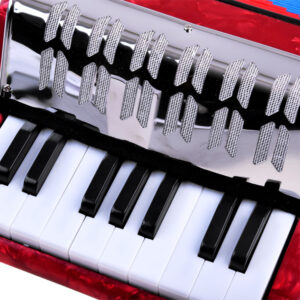 Vaikiškas didelis muzikinis akordeonas harmonika IN0148 - Image 3