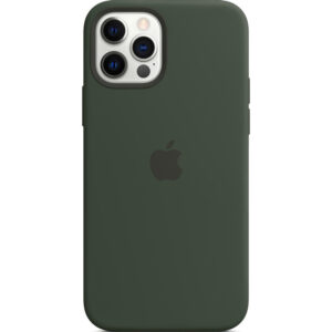 Silikoninis dėklas „MagSafe“, skirtas iPhone 12 (Pro) – „Cypress Green“ spalvos